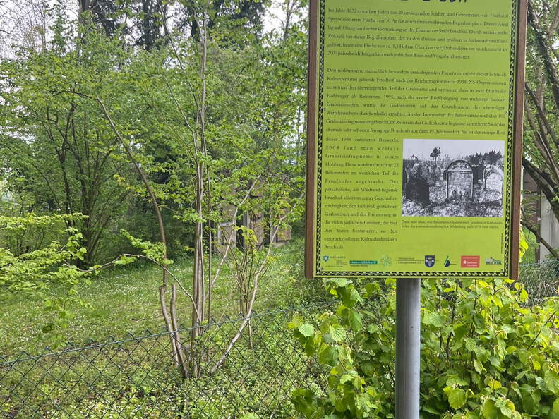 22-04-25 11-56-47 0623